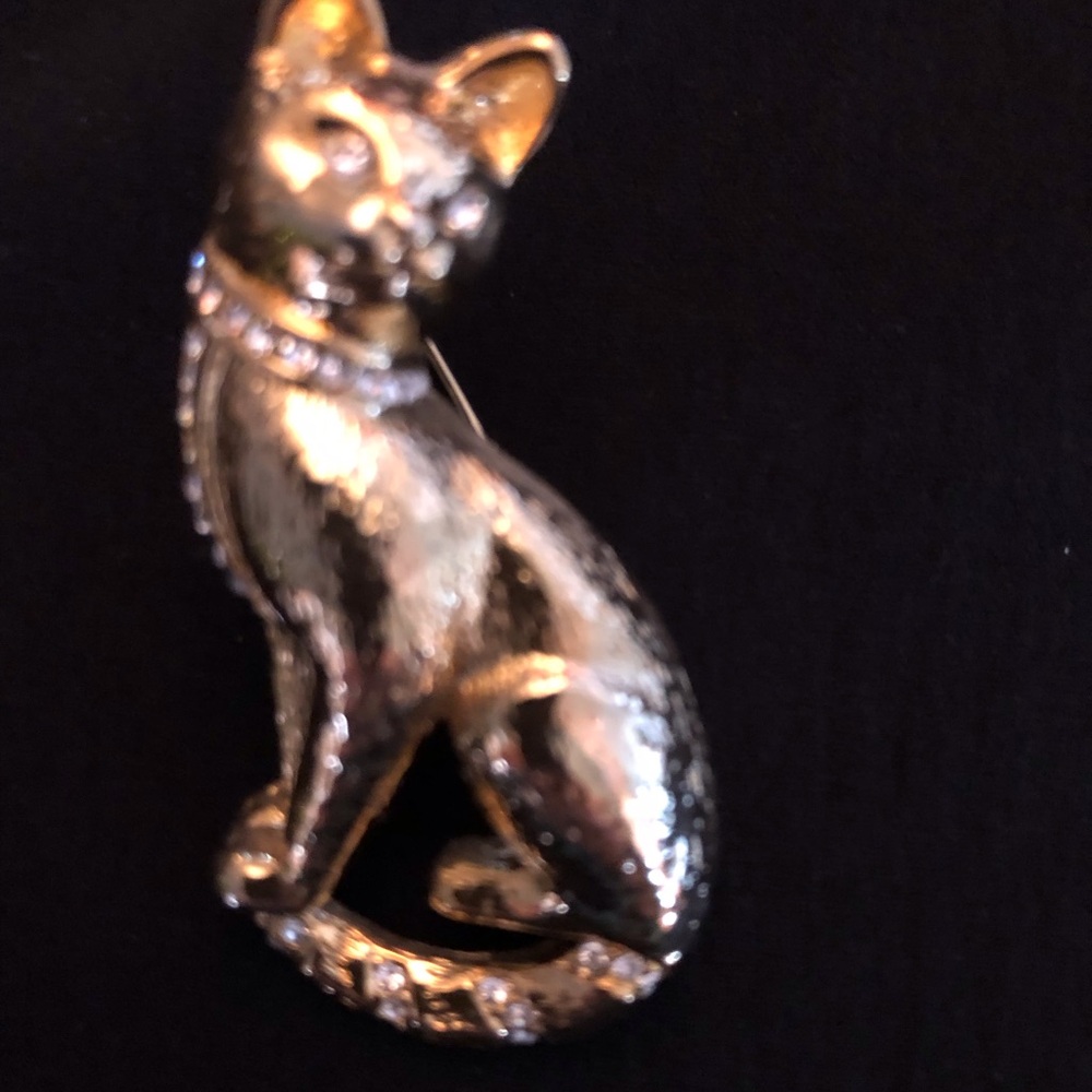 Elegant Silver Cat Brooch